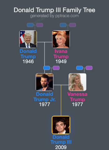 Donald Trump III family tree overview