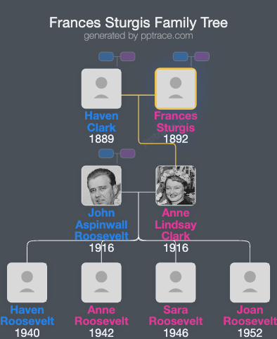 Frances Sturgis family tree overview