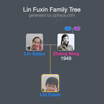 Lin Fuxin family tree overview