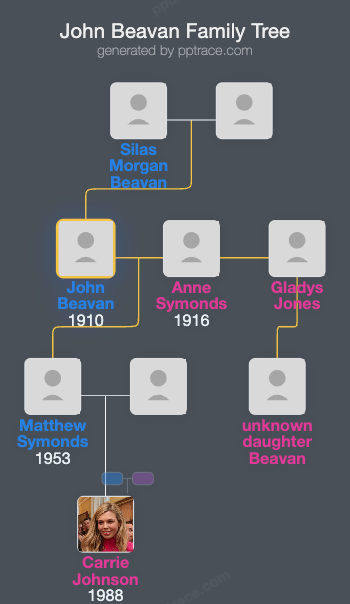 John Beavan, Baron Ardwick family tree overview