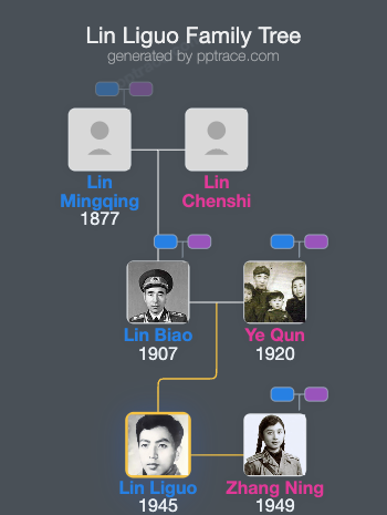 Lin Liguo family tree overview