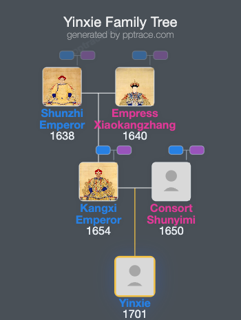 Yinxie family tree overview