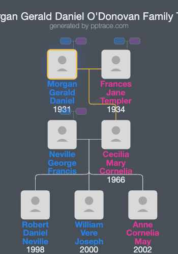 Morgan Gerald Daniel O'Donovan, The O'Donovan family tree overview