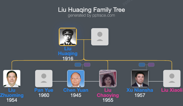 Liu Huaqing family tree overview