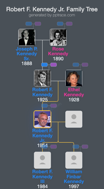 Robert F. Kennedy Jr. family tree overview