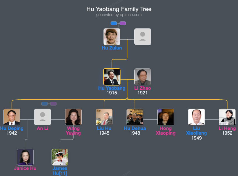 Hu Yaobang family tree overview
