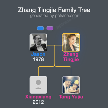 Zhang Tingjie family tree overview