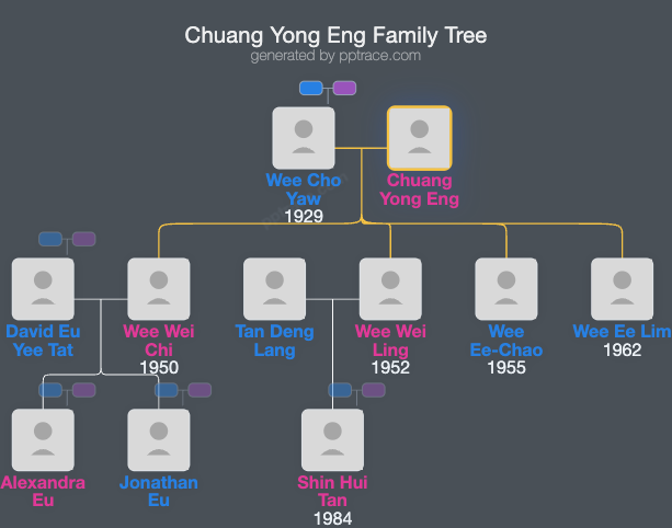 Chuang Yong Eng family tree overview
