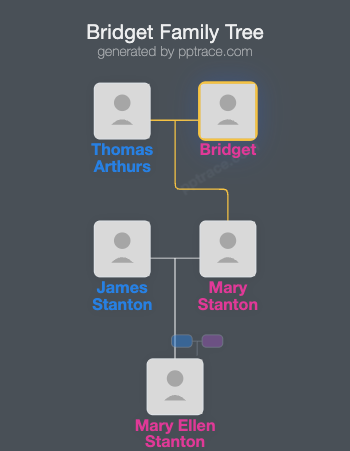 Bridget family tree overview