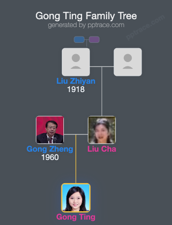 Gong Ting family tree overview