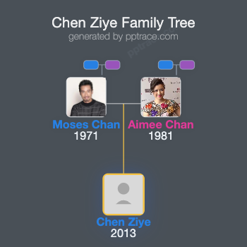 Chen Ziye family tree overview