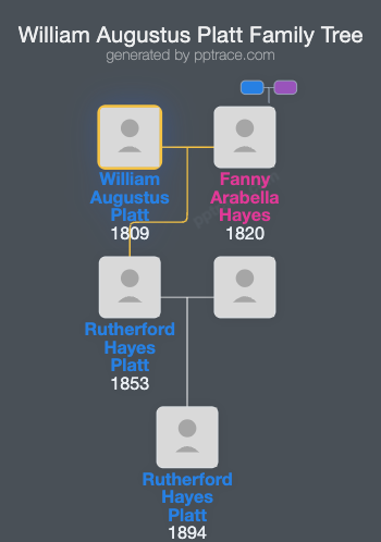 William Augustus Platt family tree overview