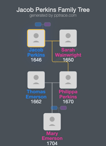 Jacob Perkins family tree overview