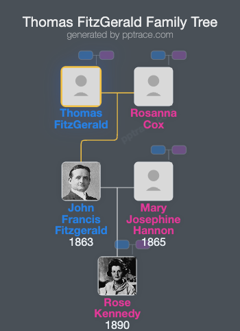 Thomas FitzGerald family tree overview