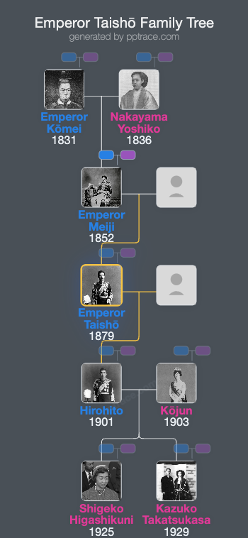 Emperor Taishō family tree overview