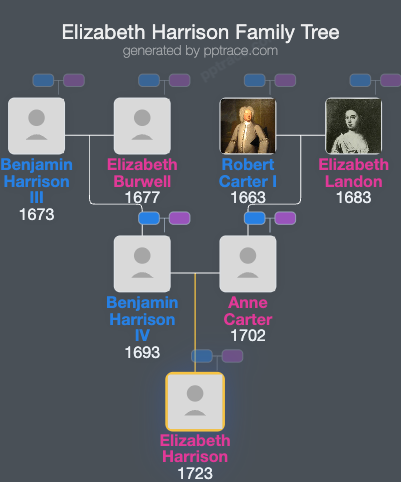Elizabeth Harrison family tree overview
