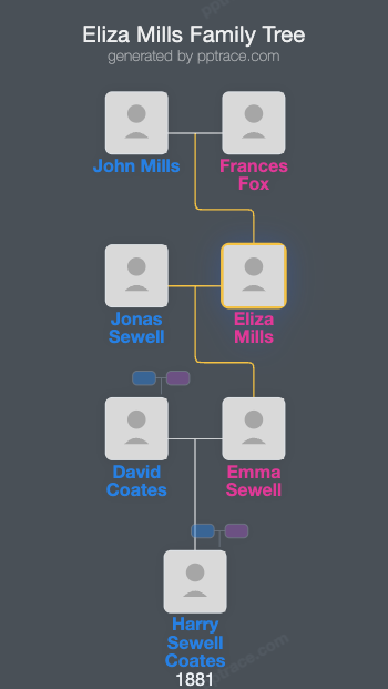 Eliza Mills family tree overview