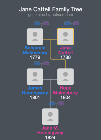 Jane Cattell family tree overview