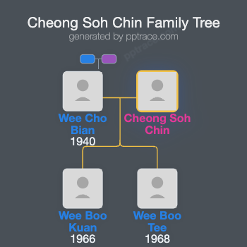 Cheong Soh Chin family tree overview