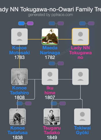 Lady NN Tokugawa-no-Owari family tree overview