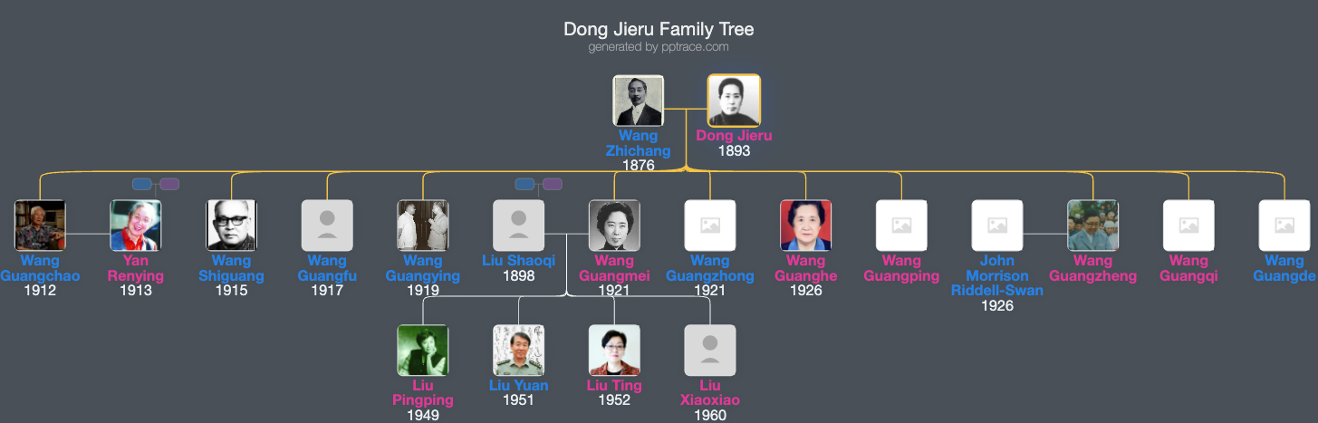 Dong Jieru family tree overview
