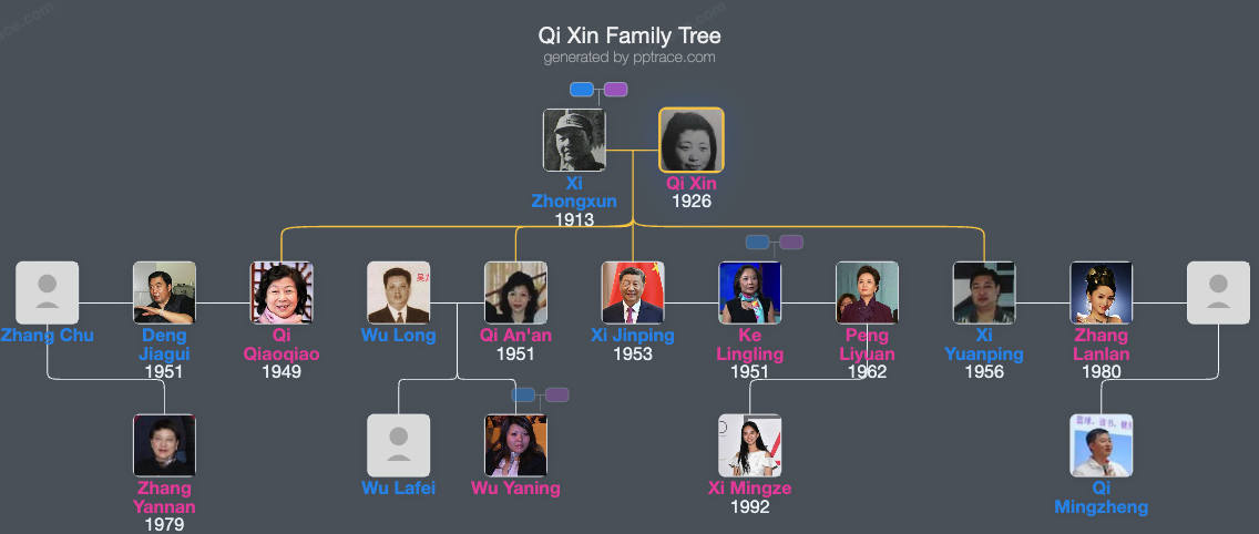 Qi Xin family tree overview