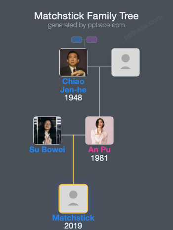 Matchstick family tree overview