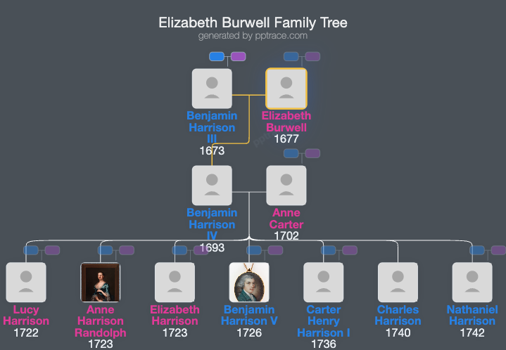 Elizabeth Burwell family tree overview