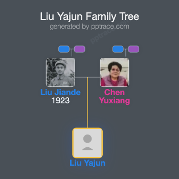 Liu Yajun family tree overview