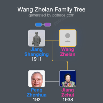 Wang Zhelan family tree overview