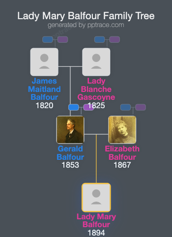 Lady Mary Balfour family tree overview