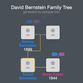 David Bernstein family tree overview
