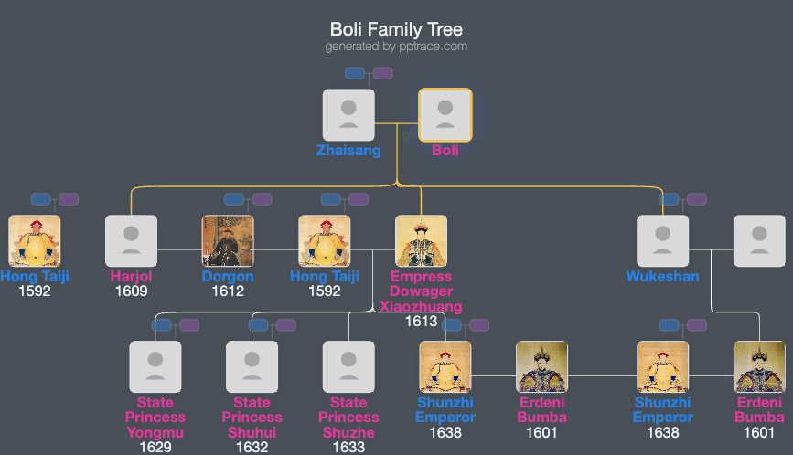 Boli family tree overview