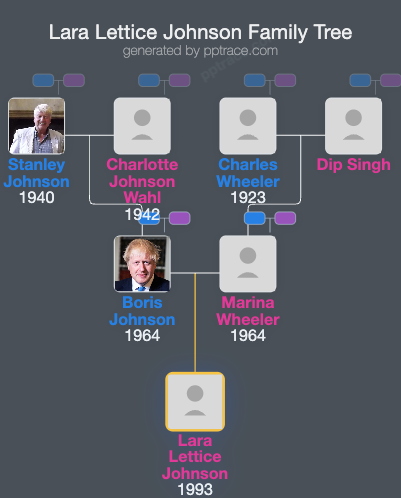 Lara Lettice Johnson family tree overview