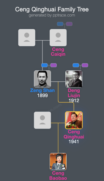 Ceng Qinghuai family tree overview