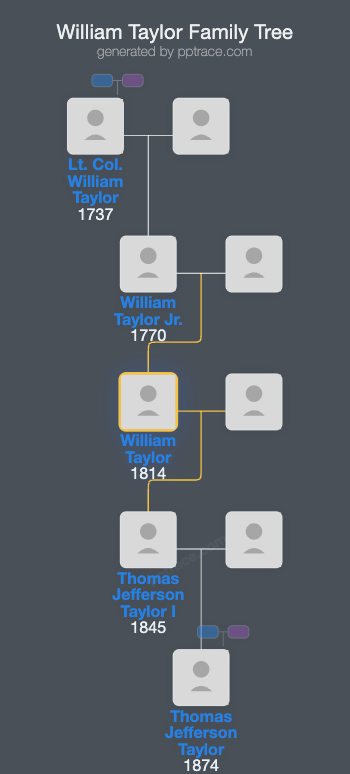 William Taylor family tree overview