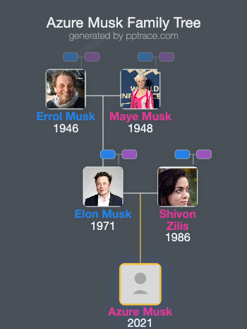 Azure Musk family tree overview