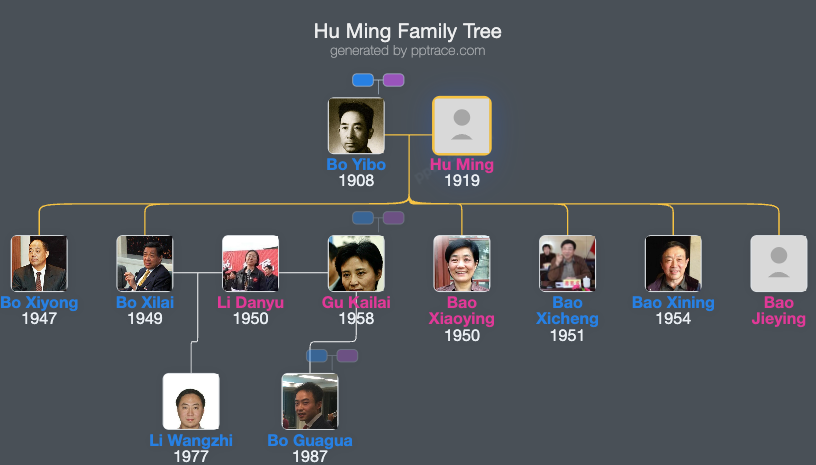 Hu Ming family tree overview