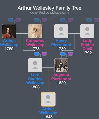 Arthur Wellesley family tree overview