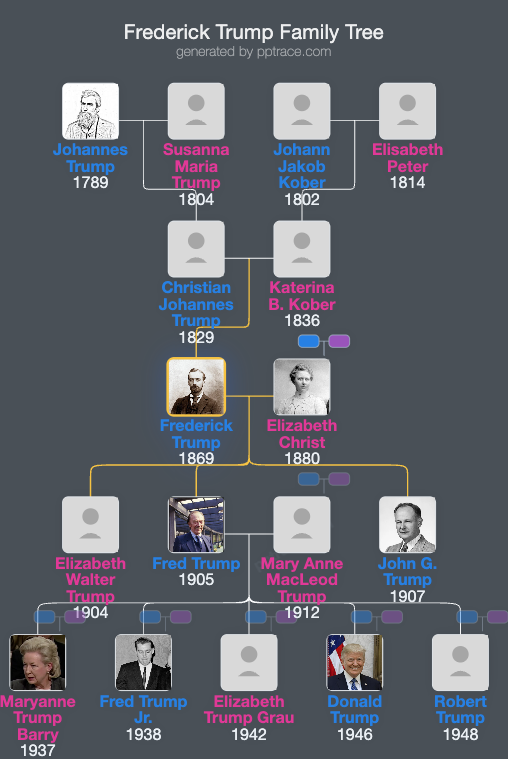 Frederick Trump family tree overview