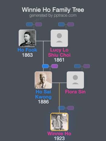 Winnie Ho family tree overview