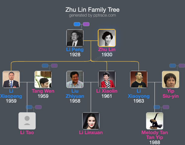 Zhu Lin family tree overview