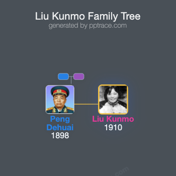 Liu Kunmo family tree overview