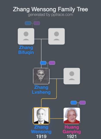 Zhang Wensong family tree overview