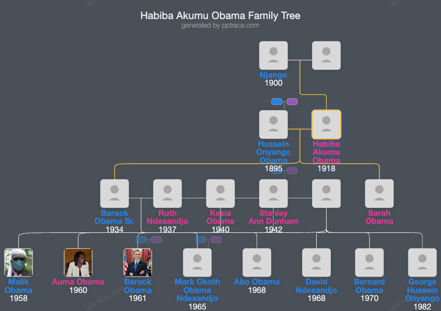 Habiba Akumu Obama family tree overview