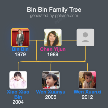 Bin Bin family tree overview