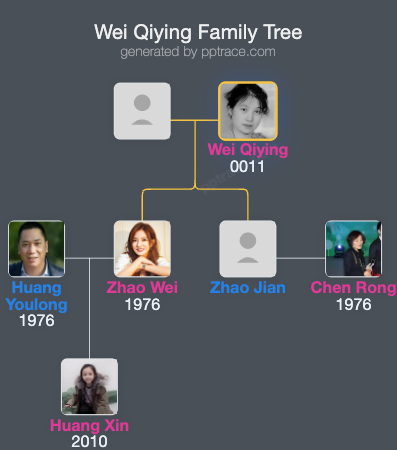 Wei Qiying family tree overview