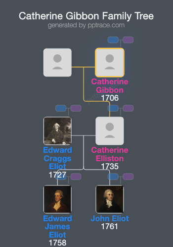 Catherine Gibbon family tree overview
