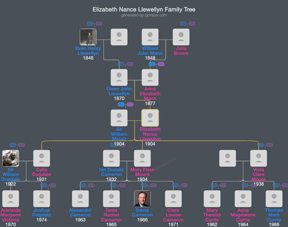 Elizabeth Nance Llewellyn family tree overview