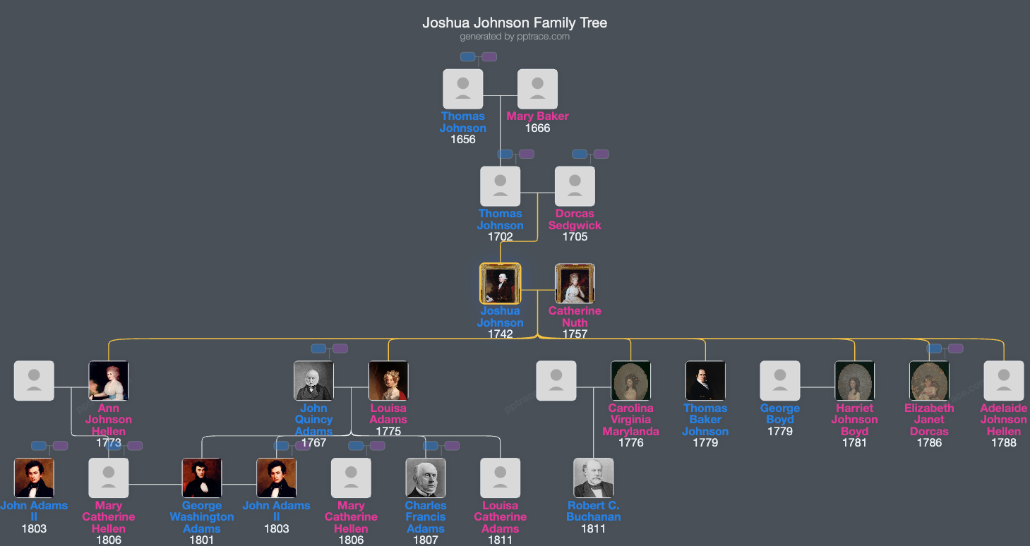 Joshua Johnson family tree overview